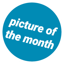 picture of the month 